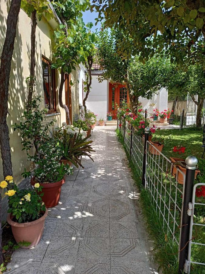 Kristina Mitllari 1 Guest house Tushemisht